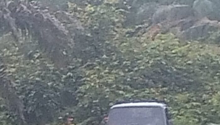 Aset Negara Dijarah Terang-Terangan! Kebun Sawit Sitaan Kejagung Milik Aon Dipanen Bebas, Marsad Diduga Jadi Pengepul, Oknum Polisi Disebut Jadi “Pelindung”