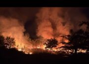 Lahan Mulai Terbakar di Mentok, Polres Bangka Barat Ingatkan Warga Jangan Buang Puntung Rokok Sembarangan