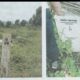 300 KK 1 RT KOMPAK DI BAWAH KEPEMIMPINAN PAK SUJADMO, WARGA TAMAN YASMIN KEBUN MOHON SK TORA SEGERA TURUN