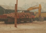 UNDANG BENCANA ALAM, Pembalakan Liar Secara Skala Besar di Kawasan Sungai Mehen Kapuas Kalteng Diduga Ilegal